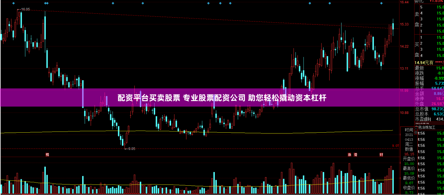 配资平台买卖股票 专业股票配资公司 助您轻松撬动资本杠杆