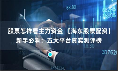 股票怎样看主力资金 【海东股票配资】新手必看：五大平台真实测评榜